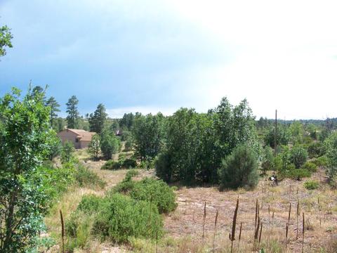 6271 Apache Trl, Show Low, AZ 85901 photo 6