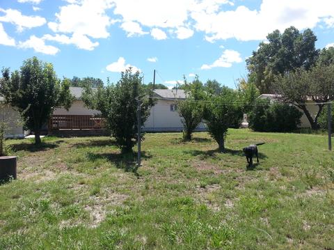 226 E Central Ave, Eagar, AZ 85925 photo 8