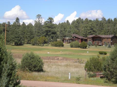 2755 Pine View Ct, Overgaard, AZ 85933 photo 29