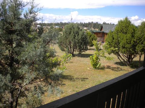 2755 Pine View Ct, Overgaard, AZ 85933 photo 27
