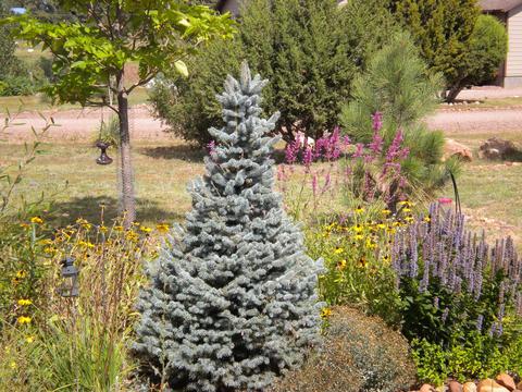 2755 Pine View Ct, Overgaard, AZ 85933 photo 42