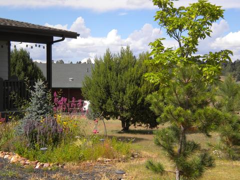 2755 Pine View Ct, Overgaard, AZ 85933 photo 43