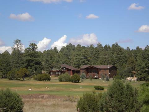 2755 Pine View Ct, Overgaard, AZ 85933 photo 30