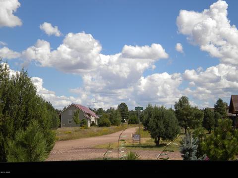 2755 Pine View Ct, Overgaard, AZ 85933 photo 5