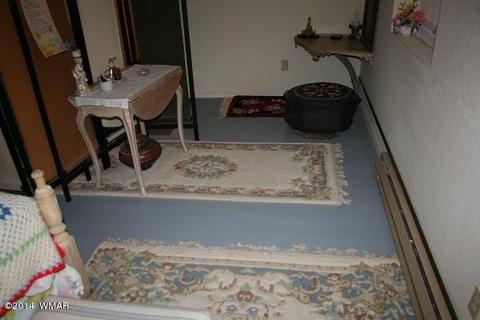 20 Cr 2065, Alpine, AZ 85920 photo 29