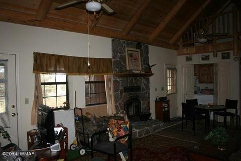 20 Cr 2065, Alpine, AZ 85920 photo 3