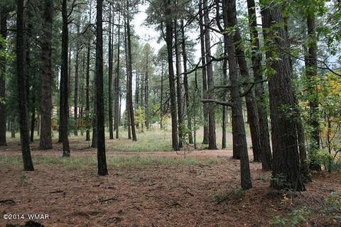 20 Cr 2065, Alpine, AZ 85920 photo 49