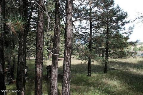 20 Cr 2065, Alpine, AZ 85920 photo 12