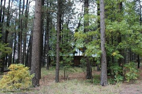 20 Cr 2065, Alpine, AZ 85920 photo 52