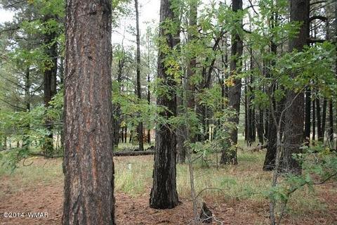 20 Cr 2065, Alpine, AZ 85920 photo 50