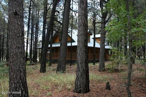 20 Cr 2065, Alpine, AZ 85920 photo 51