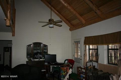 20 Cr 2065, Alpine, AZ 85920 photo 23