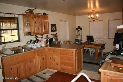 20 Cr 2065, Alpine, AZ 85920 photo 4