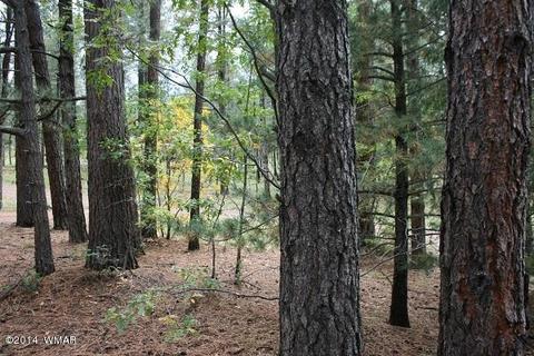 20 Cr 2065, Alpine, AZ 85920 photo 48