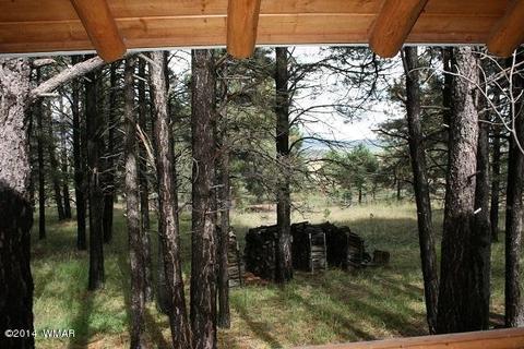20 Cr 2065, Alpine, AZ 85920 photo 10