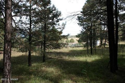 20 Cr 2065, Alpine, AZ 85920 photo 11
