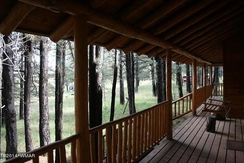 20 Cr 2065, Alpine, AZ 85920 photo 9