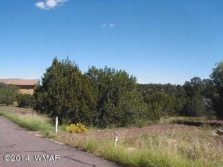 3411 Apache Dr, Overgaard, AZ 85933 photo 2