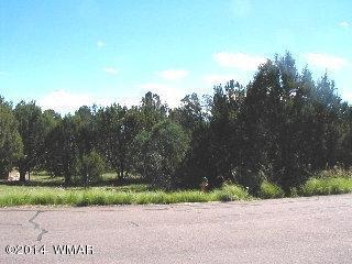 3411 Apache Dr, Overgaard, AZ 85933 photo 5