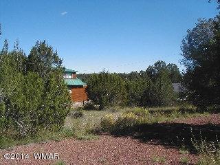 3411 Apache Dr, Overgaard, AZ 85933 photo 3