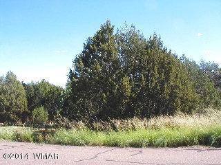 3411 Apache Dr, Overgaard, AZ 85933 photo 1