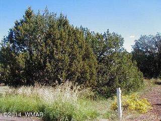 3411 Apache Dr, Overgaard, AZ 85933 photo 4