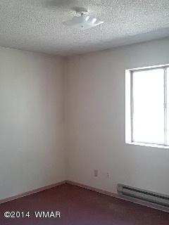 262 E 6th St, Eagar, AZ 85925 photo 20
