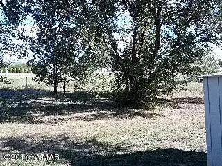 262 E 6th St, Eagar, AZ 85925 photo 10