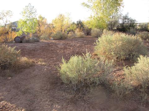 1783 E Snowflake Blvd, Snowflake, AZ 85937 photo 25