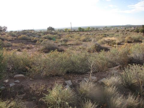 1783 E Snowflake Blvd, Snowflake, AZ 85937 photo 8