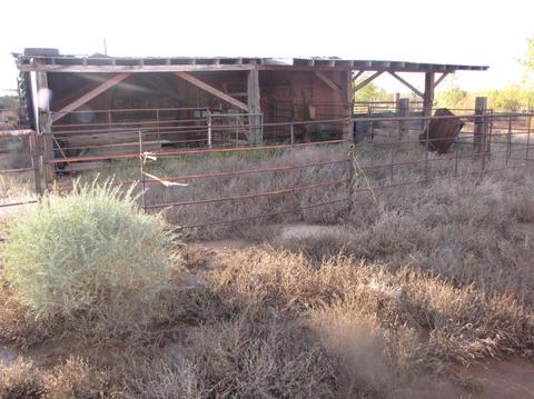 1783 E Snowflake Blvd, Snowflake, AZ 85937 photo 22