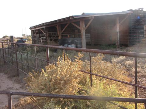 1783 E Snowflake Blvd, Snowflake, AZ 85937 photo 23