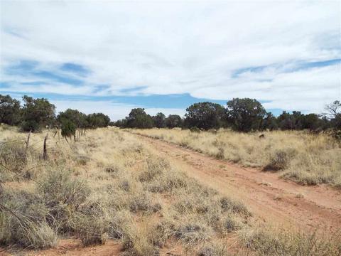 4148 County Line, Snowflake, AZ 85937 photo 2