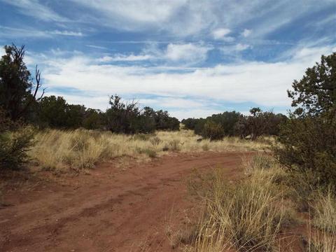4148 County Line, Snowflake, AZ 85937 photo 1