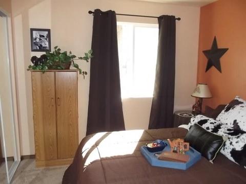 2065 Pinehaven Ln, Overgaard, AZ 85933 photo 4