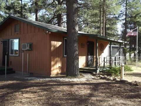 2065 Pinehaven Ln, Overgaard, AZ 85933 photo 1