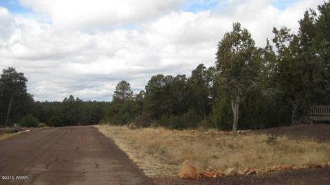 2264 Sunrise Rd, Overgaard, AZ 85933 photo 33