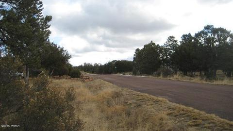 2264 Sunrise Rd, Overgaard, AZ 85933 photo 34