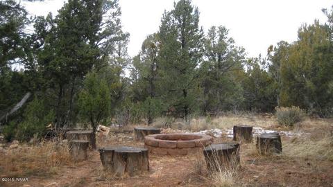 2264 Sunrise Rd, Overgaard, AZ 85933 photo 32