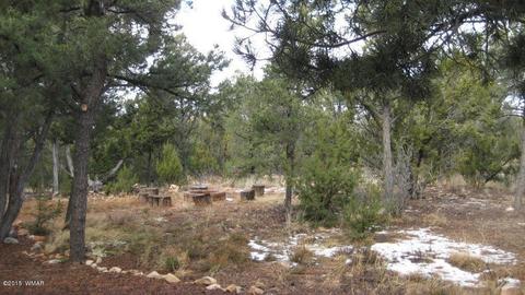 2264 Sunrise Rd, Overgaard, AZ 85933 photo 30