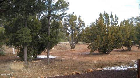 2264 Sunrise Rd, Overgaard, AZ 85933 photo 31