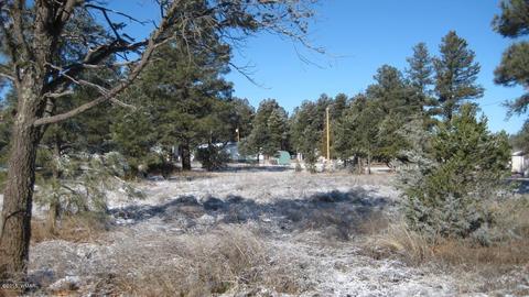 2196 Ruby Ln, Overgaard, AZ 85933 photo 13