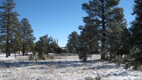 2196 Ruby Ln, Overgaard, AZ 85933 photo 9
