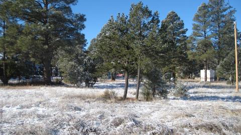2196 Ruby Ln, Overgaard, AZ 85933 photo 5