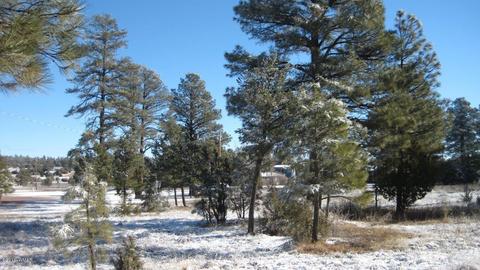 2196 Ruby Ln, Overgaard, AZ 85933 photo 8