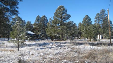 2196 Ruby Ln, Overgaard, AZ 85933 photo 3