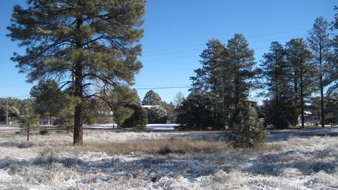 2196 Ruby Ln, Overgaard, AZ 85933 photo 6
