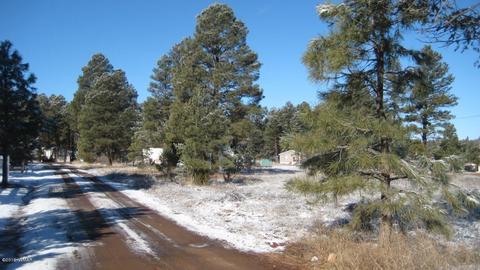 2196 Ruby Ln, Overgaard, AZ 85933 photo 2