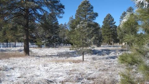 2196 Ruby Ln, Overgaard, AZ 85933 photo 4