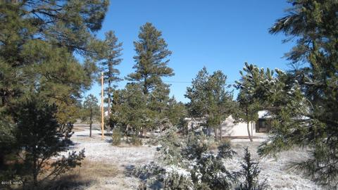 2196 Ruby Ln, Overgaard, AZ 85933 photo 7